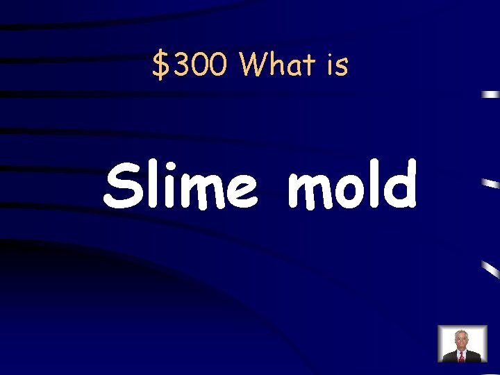 $300 What is Slime mold 