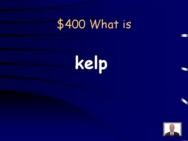 $400 What is kelp 
