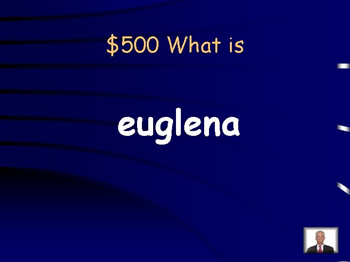 $500 What is euglena 