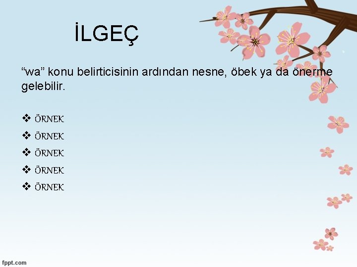 İLGEÇ “wa” konu belirticisinin ardından nesne, öbek ya da önerme gelebilir. v ÖRNEK v