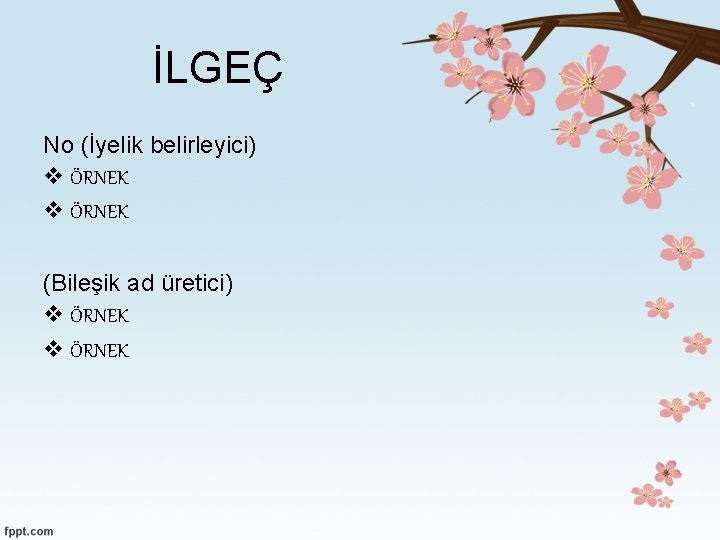 İLGEÇ No (İyelik belirleyici) v ÖRNEK (Bileşik ad üretici) v ÖRNEK 