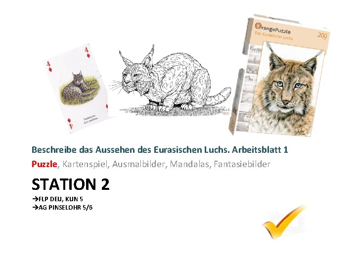 Beschreibe das Aussehen des Eurasischen Luchs. Arbeitsblatt 1 Puzzle, Kartenspiel, Ausmalbilder, Mandalas, Fantasiebilder STATION