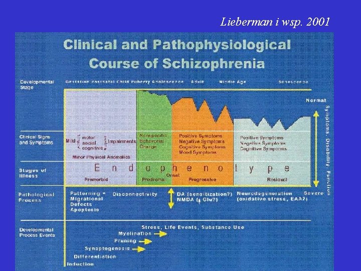 Lieberman i wsp. 2001 