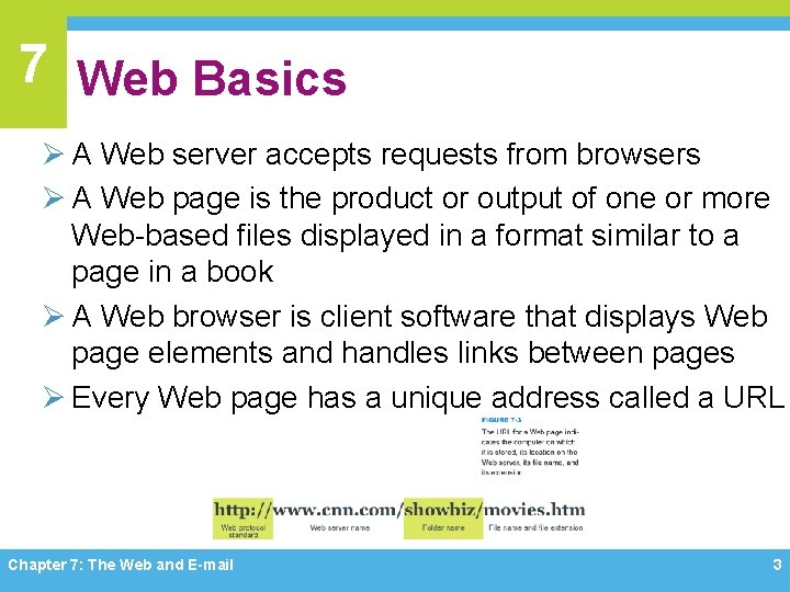 7 Web Basics Ø A Web server accepts requests from browsers Ø A Web