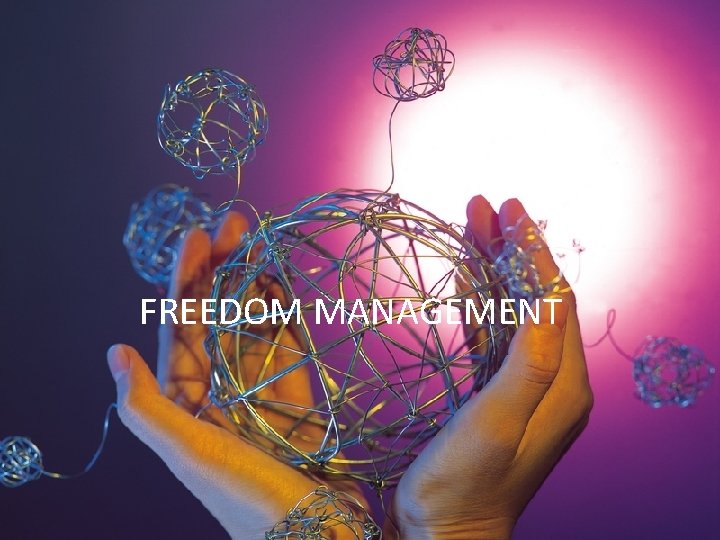 FREEDOM MANAGEMENT 