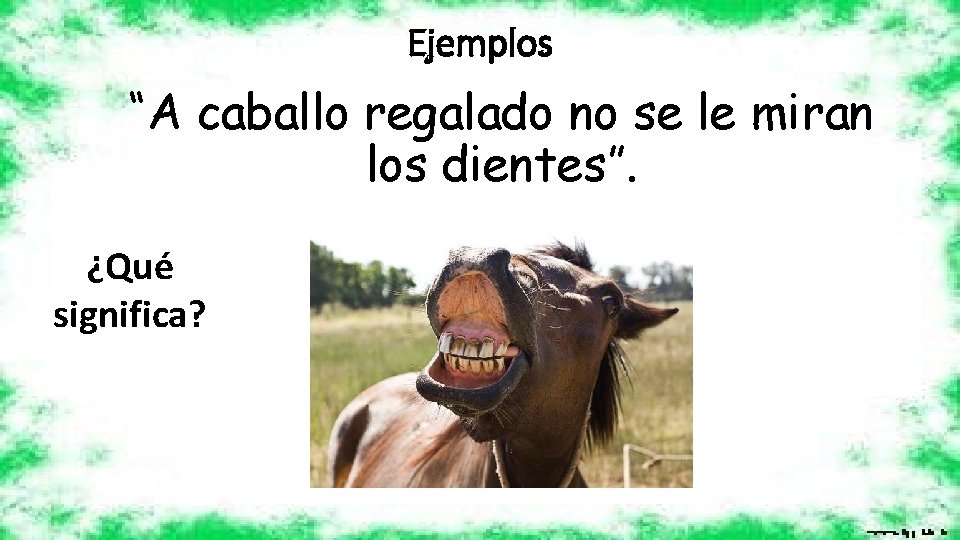Ejemplos “A caballo regalado no se le miran los dientes”. ¿Qué significa? 