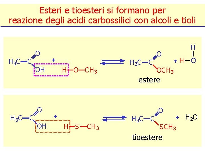 Esteri e tioesteri si formano per reazione degli acidi carbossilici con alcoli e tioli