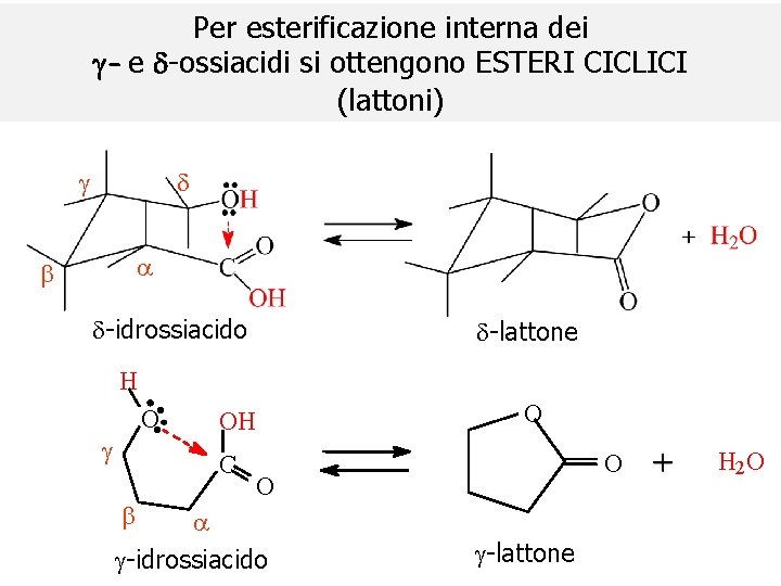 Per esterificazione interna dei g- e -ossiacidi si ottengono ESTERI CICLICI (lattoni) g d