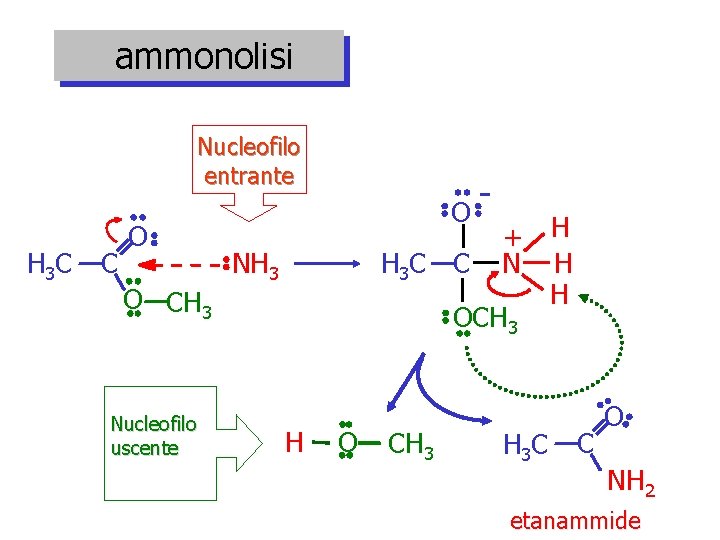 ammonolisi Nucleofilo entrante H 3 C C O O CH 3 Nucleofilo uscente O