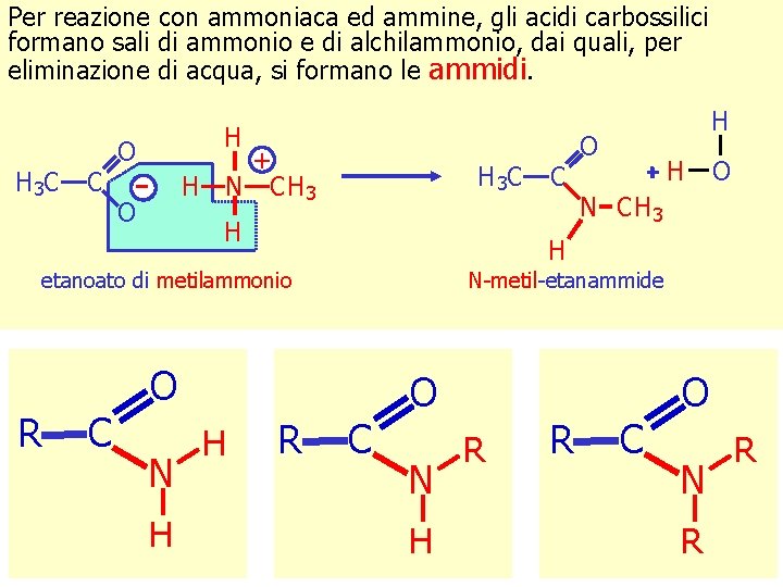 Per reazione con ammoniaca ed ammine, gli acidi carbossilici formano sali di ammonio e