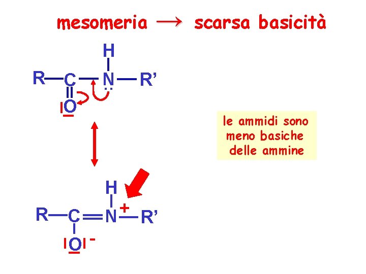 mesomeria → scarsa basicità H R C O N. . R’ le ammidi sono