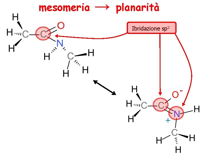 mesomeria → planarità Ibridazione sp 2 + 