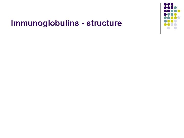 Immunoglobulins - structure 