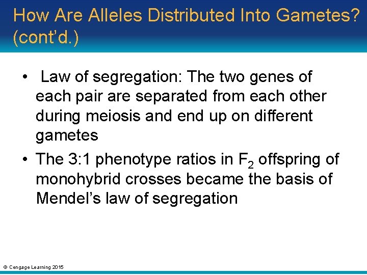 How Are Alleles Distributed Into Gametes? (cont’d. ) • Law of segregation: The two