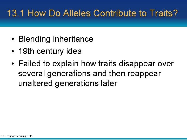 13. 1 How Do Alleles Contribute to Traits? • Blending inheritance • 19 th