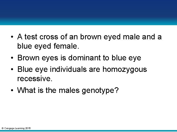  • A test cross of an brown eyed male and a blue eyed