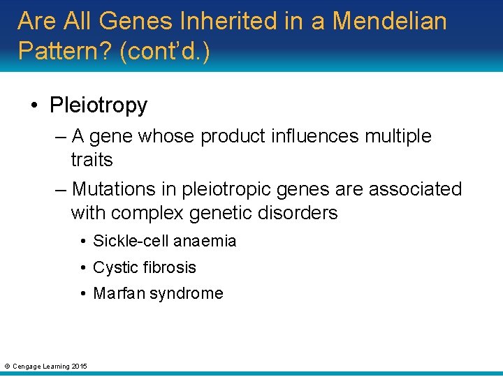 Are All Genes Inherited in a Mendelian Pattern? (cont’d. ) • Pleiotropy – A