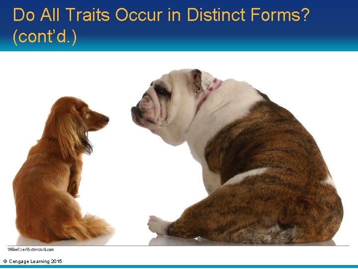 Do All Traits Occur in Distinct Forms? (cont’d. ) © Cengage Learning 2015 