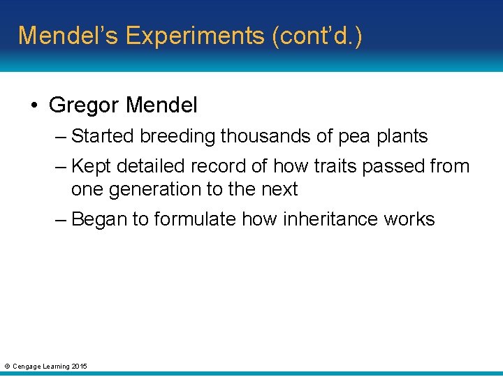 Mendel’s Experiments (cont’d. ) • Gregor Mendel – Started breeding thousands of pea plants