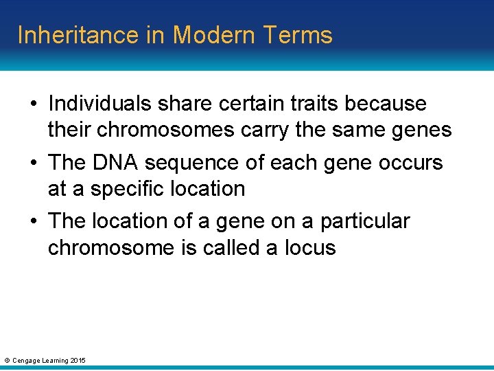 Inheritance in Modern Terms • Individuals share certain traits because their chromosomes carry the