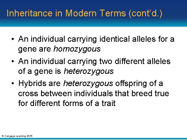 Inheritance in Modern Terms (cont’d. ) • An individual carrying identical alleles for a