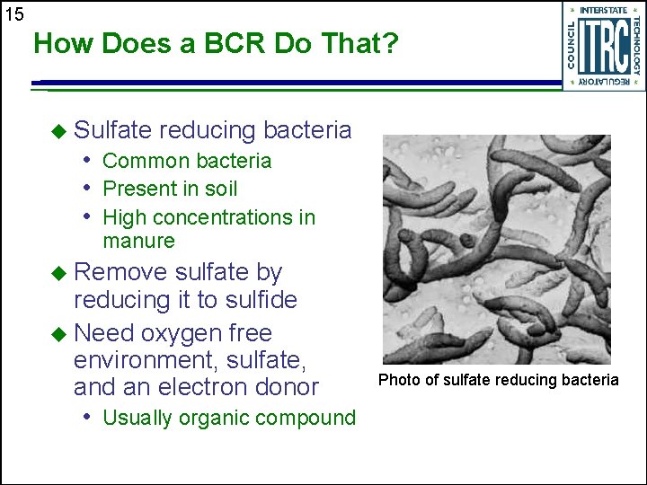 15 How Does a BCR Do That? u Sulfate reducing bacteria • Common bacteria