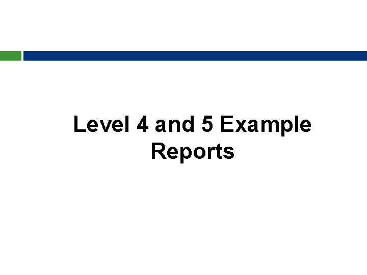 Level 4 and 5 Example Reports 