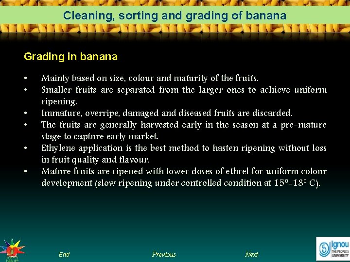 Cleaning, sorting and grading of banana Grading in banana • • • Mainly based