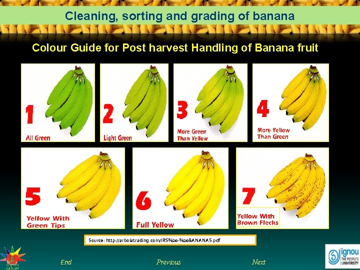 Cleaning, sorting and grading of banana Colour Guide for Post harvest Handling of Banana