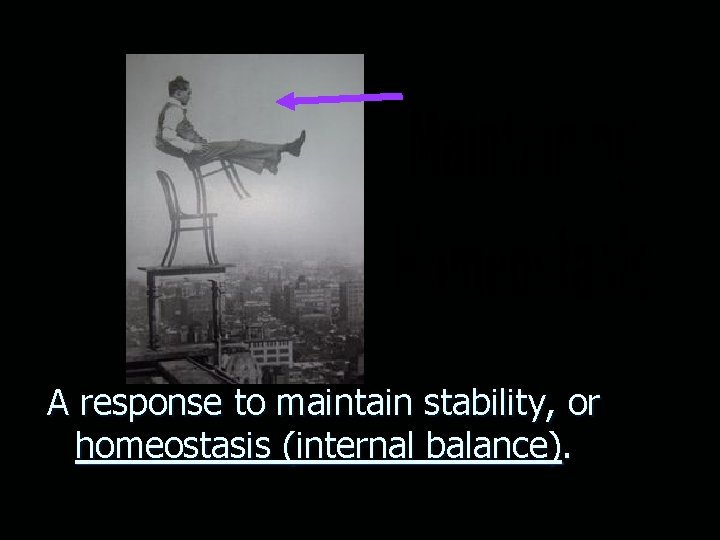 A response to maintain stability, or homeostasis (internal balance). 