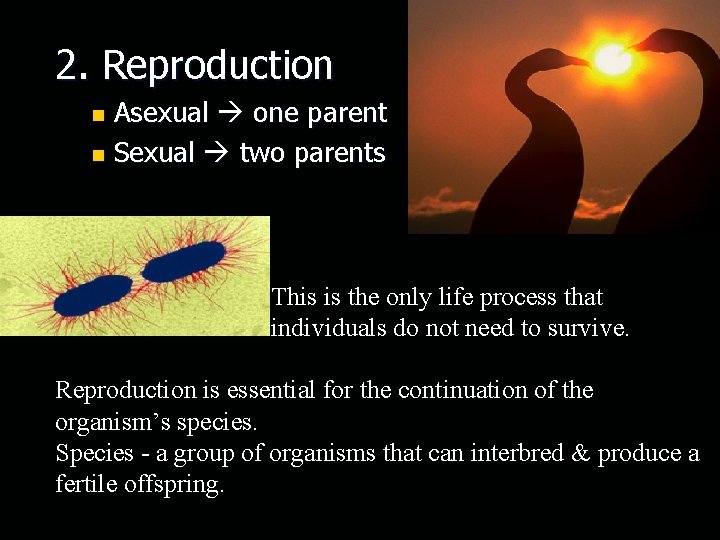 2. Reproduction Asexual one parent n Sexual two parents n This is the only