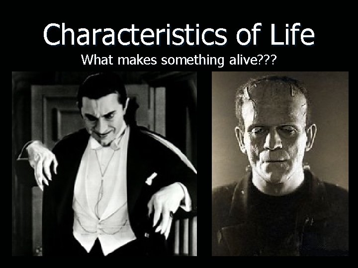 Characteristics of Life What makes something alive? ? ? 