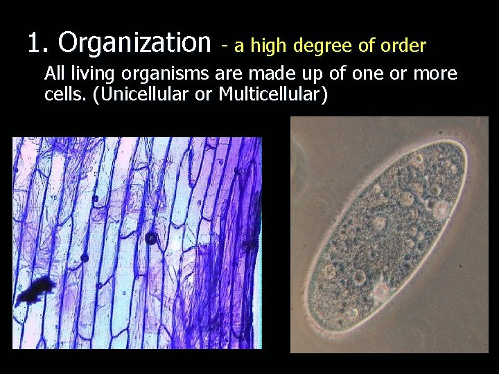1. Organization - a high degree of order All living organisms are made up
