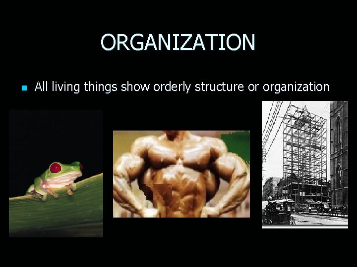 ORGANIZATION n All living things show orderly structure or organization 
