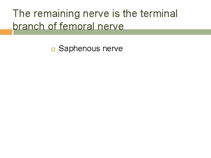 The remaining nerve is the terminal branch of femoral nerve Saphenous nerve 