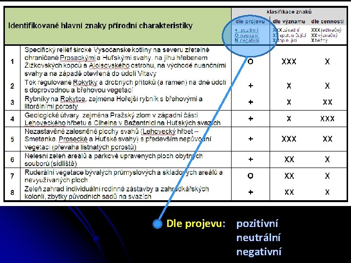 Dle projevu: pozitivní neutrální negativní 