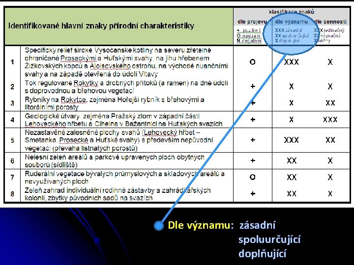 Dle významu: zásadní spoluurčující doplňující 