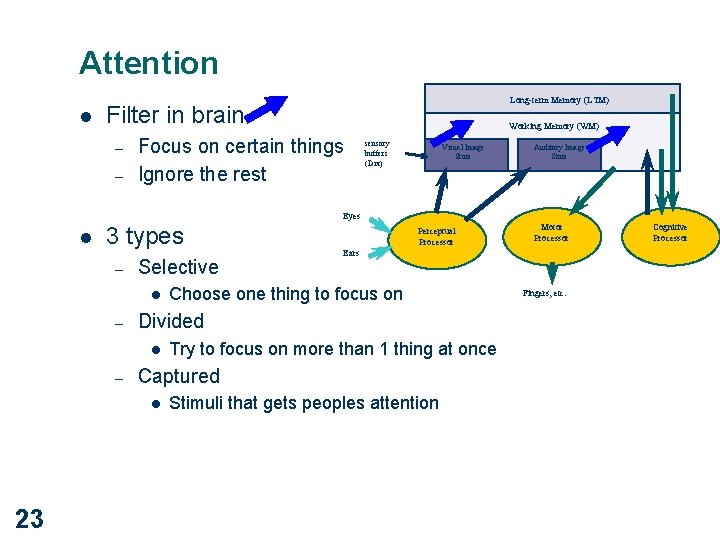 Attention l Long-term Memory (LTM) Filter in brain – – Working Memory (WM) Focus