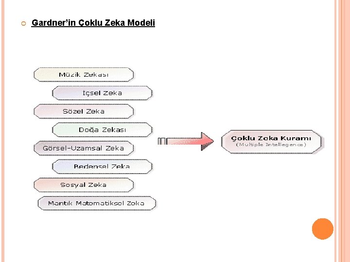  Gardner’in Çoklu Zeka Modeli 
