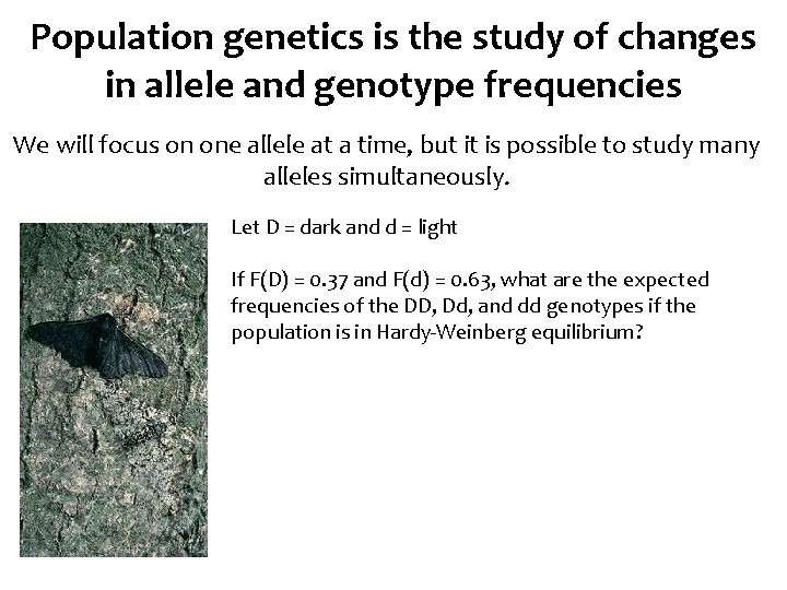 Population genetics is the study of changes in allele and genotype frequencies We will