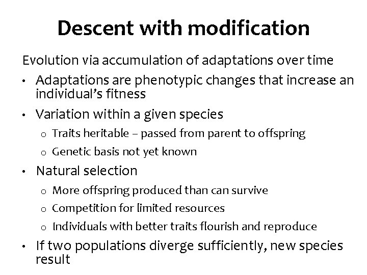 Descent with modification Evolution via accumulation of adaptations over time • Adaptations are phenotypic