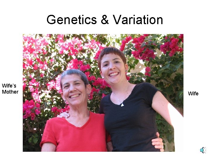 Genetics & Variation Wife’s Mother Wife 