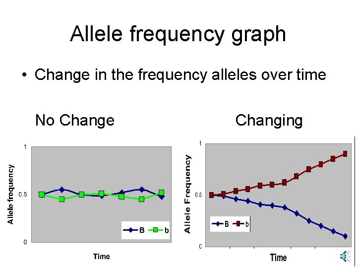 Allele frequency graph • Change in the frequency alleles over time No Change Changing