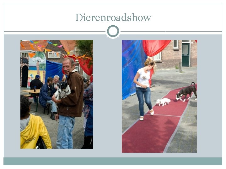 Dierenroadshow 