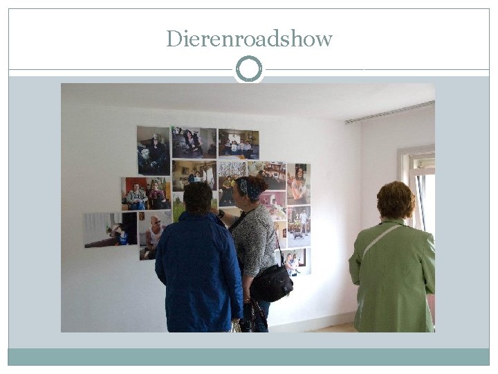 Dierenroadshow 