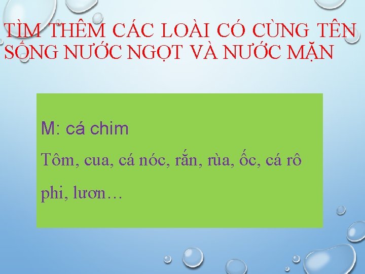 TÌM THÊM CÁC LOÀI CÓ CÙNG TÊN SỐNG NƯỚC NGỌT VÀ NƯỚC MẶN M: