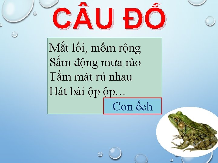 C U ĐỐ Mắt lồi, mồm rộng Sấm động mưa rào Tắm mát rủ