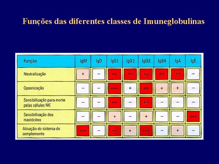 Funções das diferentes classes de Imuneglobulinas 