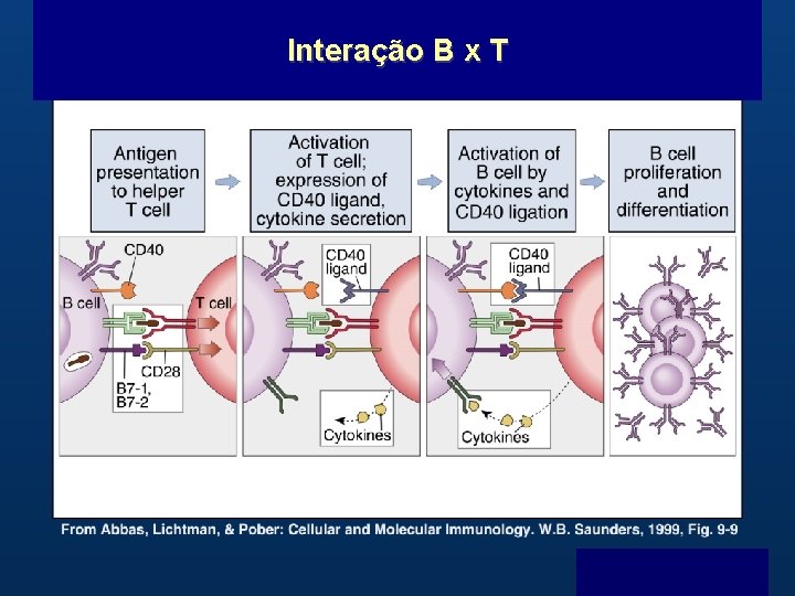 Interação B x T B Menu F 