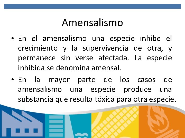 Amensalismo • En el amensalismo una especie inhibe el crecimiento y la supervivencia de